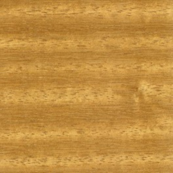 Chlorophora / Iroko