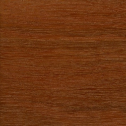 Manilkara obovata